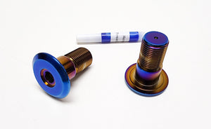 Warp 9 Talaria Sting Titanitum Swing Arm Bolts