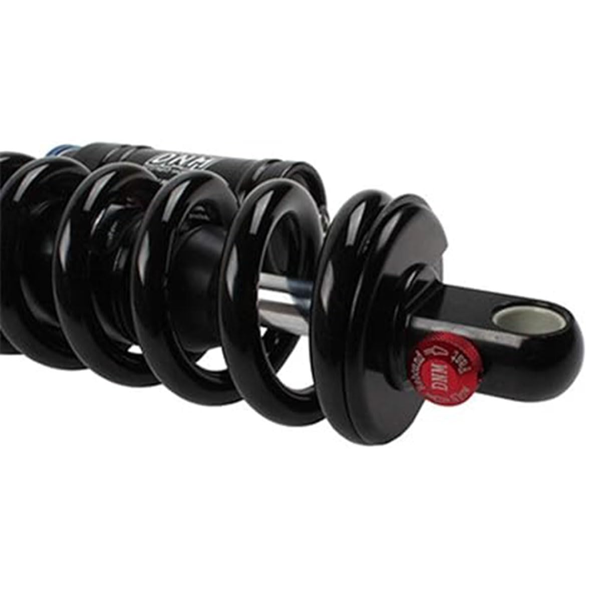 Tuttio Soleil 01 DNM Shock